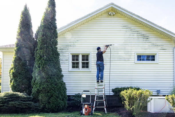 Best Spring Cleaning  in Henryville, IN